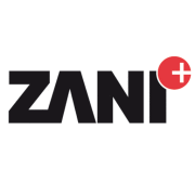(c) Zani-strassenbau.ch